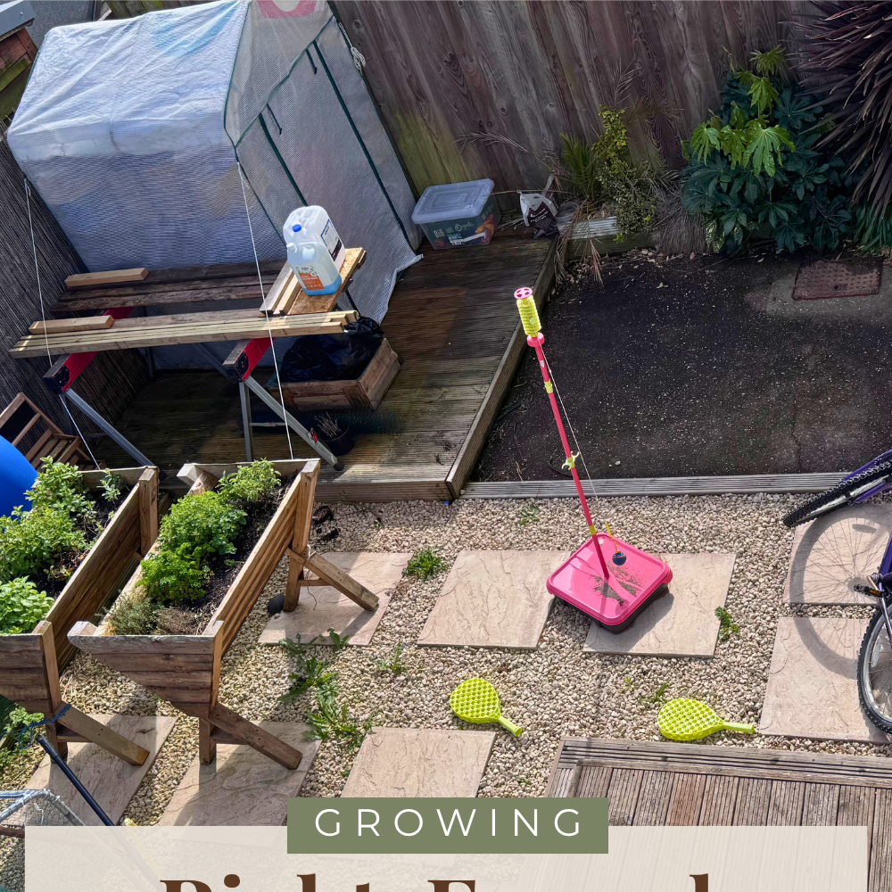 Growing our own food