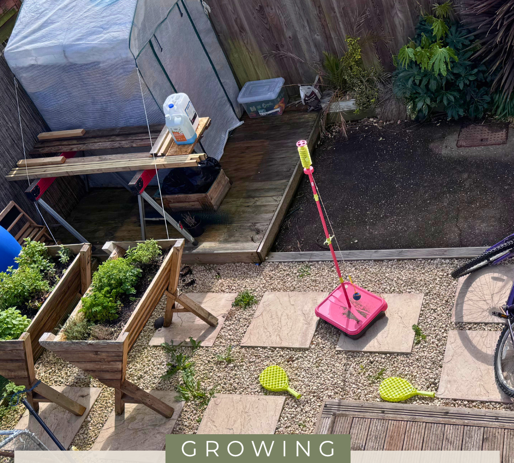 Growing our own food