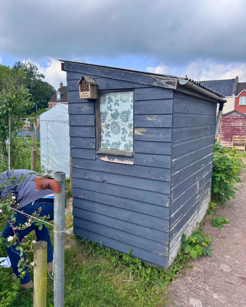 Allotment 8