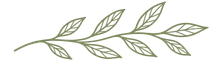 leaf motif