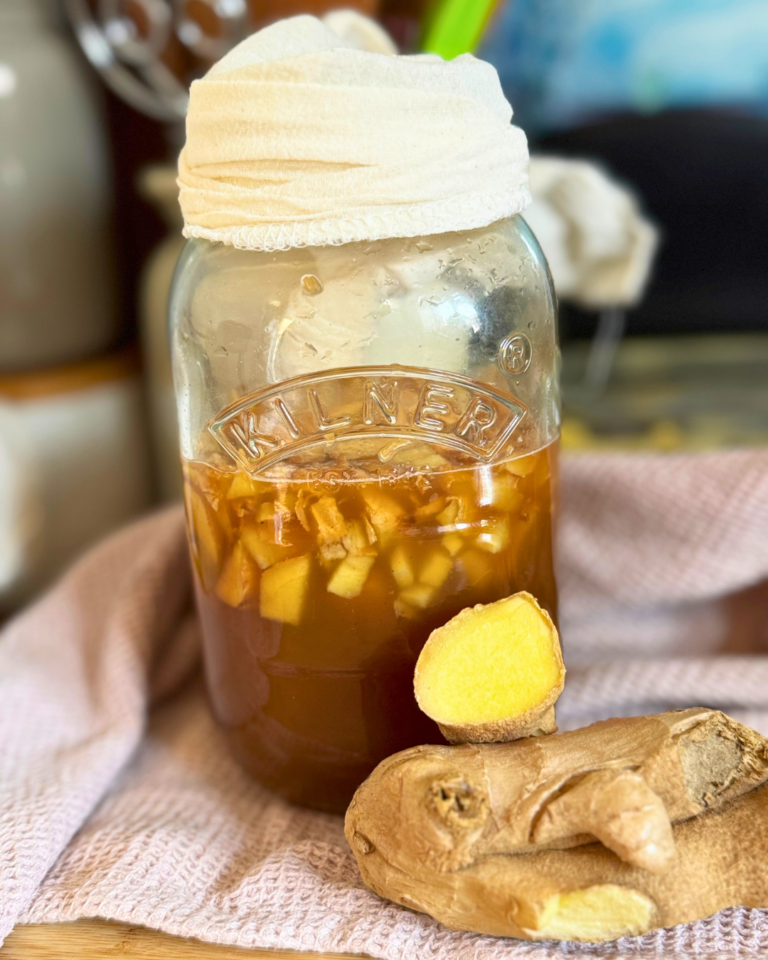 Homemade Ginger Beer Ginger Bug.