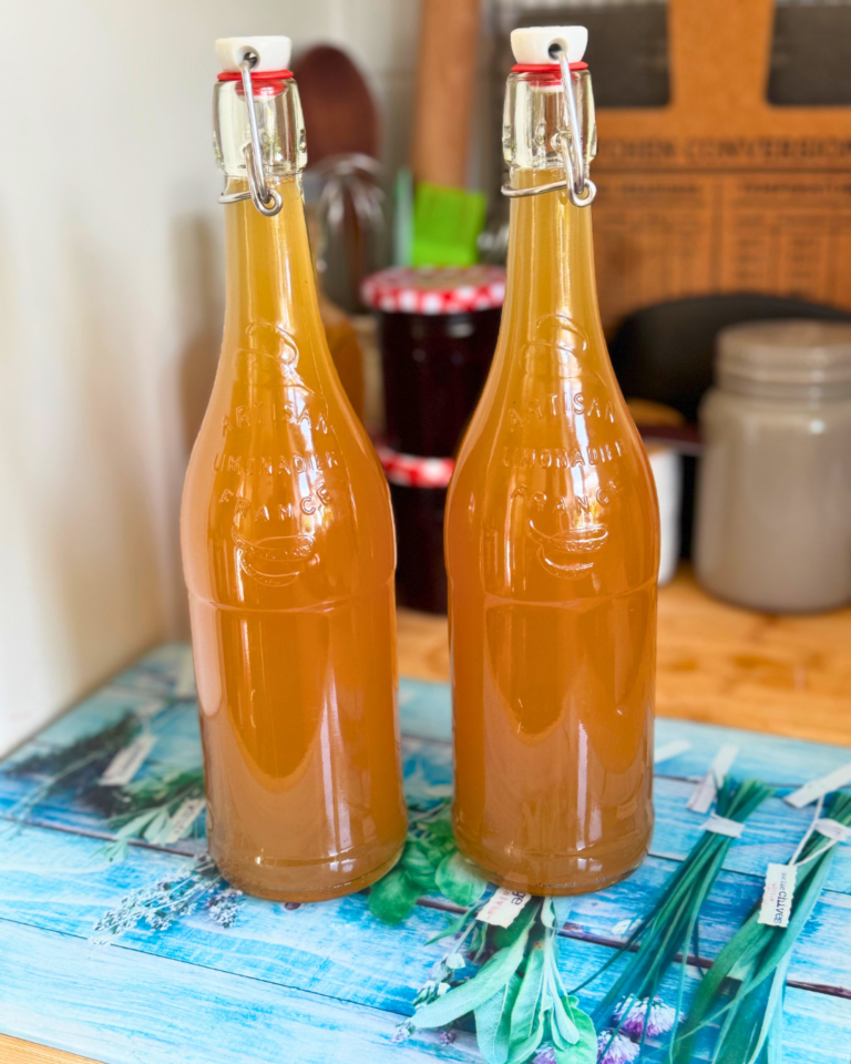 Homemade Ginger Beer Bottled