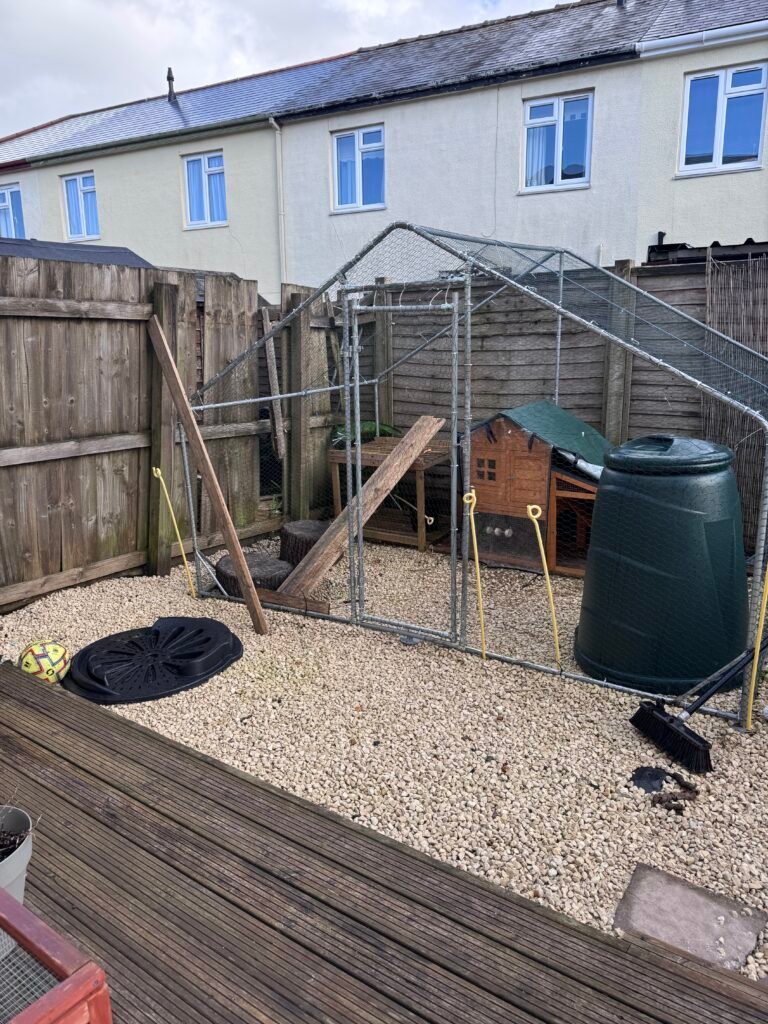 Growing our own food the start