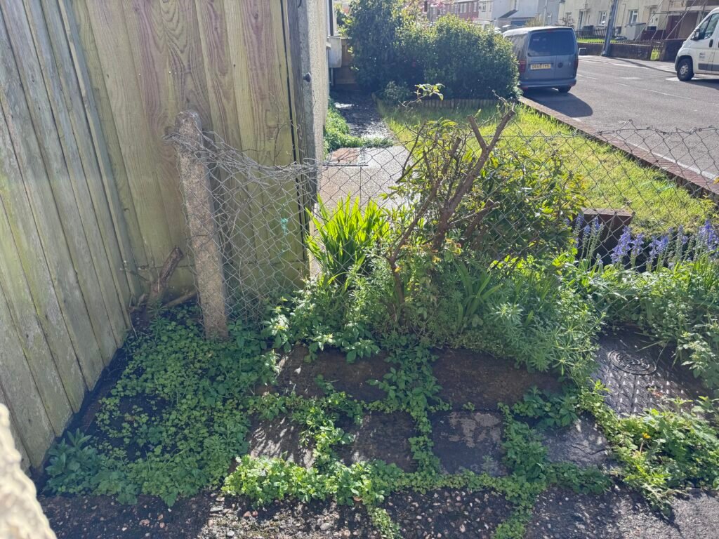 Growing our own food Front Garden