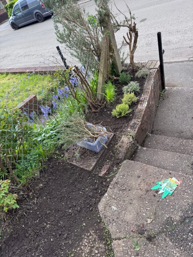 Mini Herb Garden