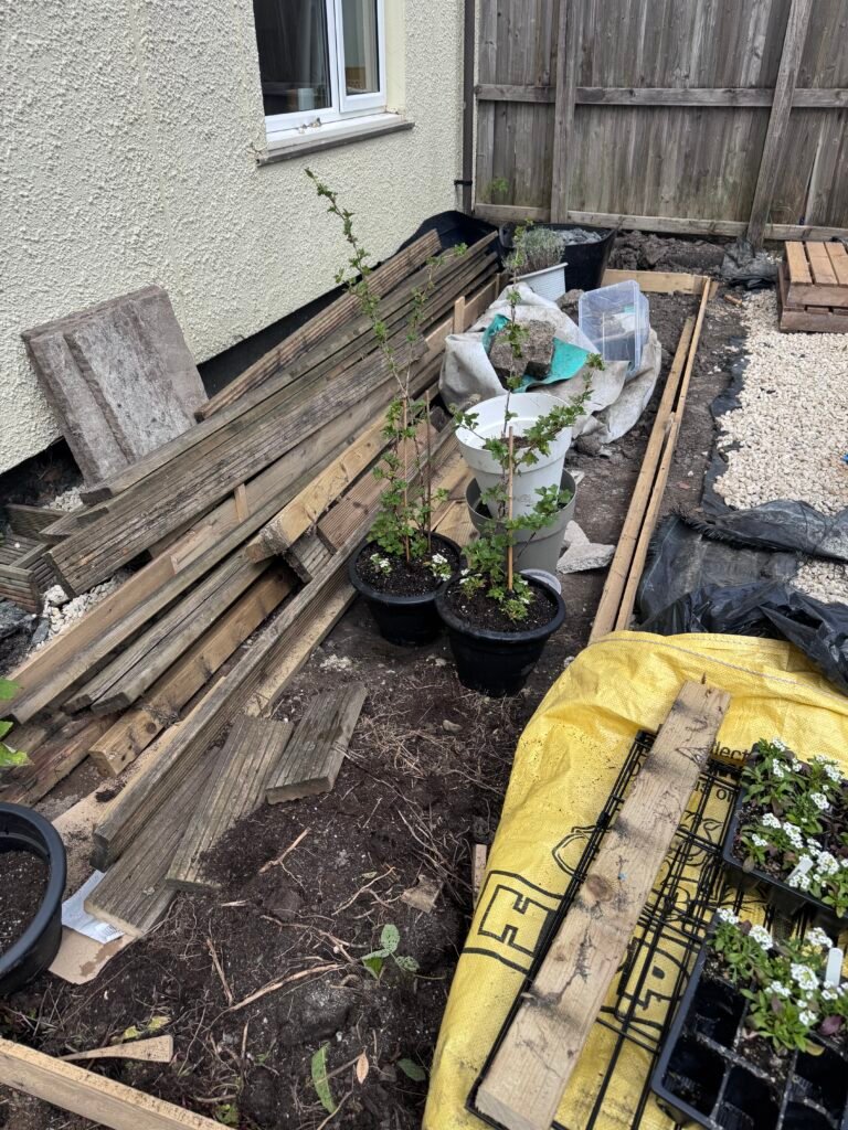 Garden Chaos