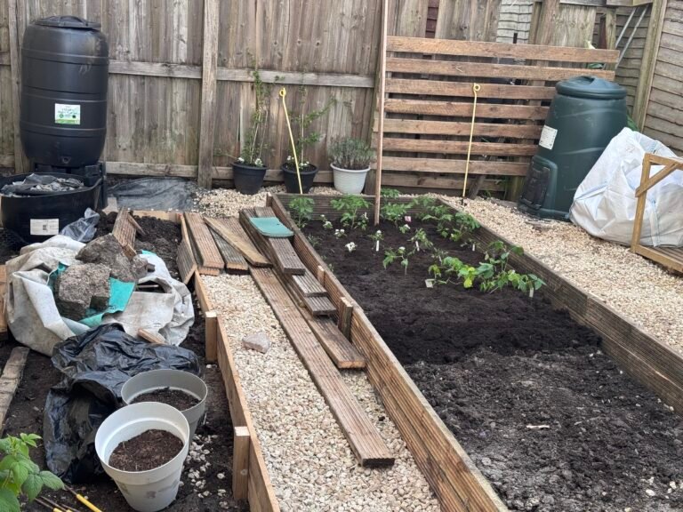 first plants planted
