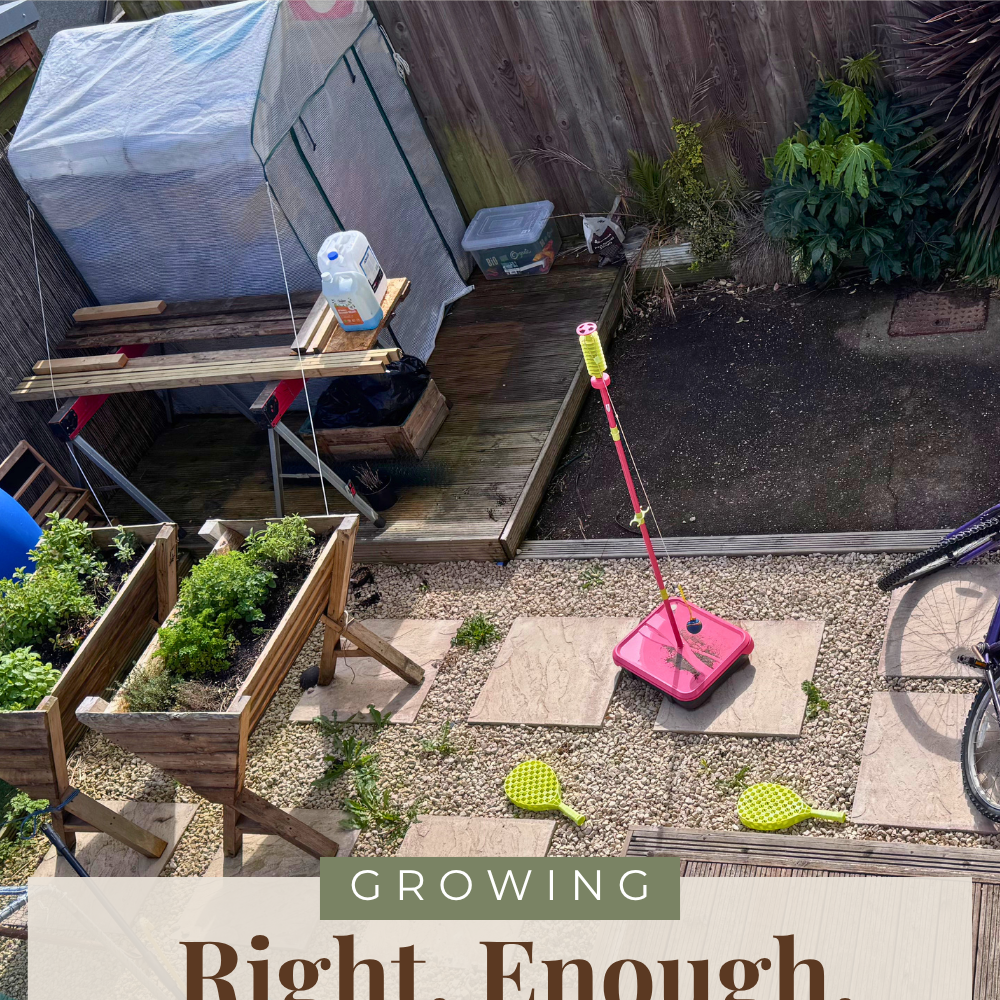 Growing our own food