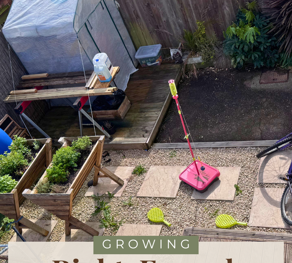 Growing our own food